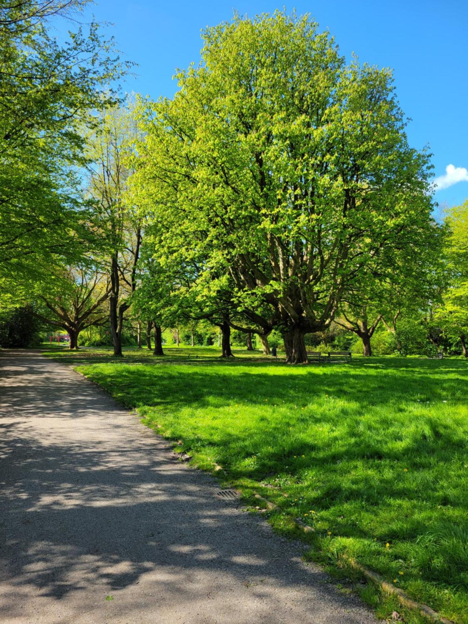 Ferienwohnungen Am Park Wilhelmshaven Exterior photo